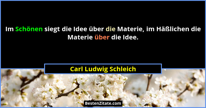 Im Schönen siegt die Idee über die Materie, im Häßlichen die Materie über die Idee.... - Carl Ludwig Schleich