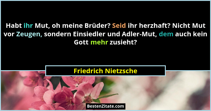 Habt ihr Mut, oh meine Brüder? Seid ihr herzhaft? Nicht Mut vor Zeugen, sondern Einsiedler und Adler-Mut, dem auch kein Gott meh... - Friedrich Nietzsche