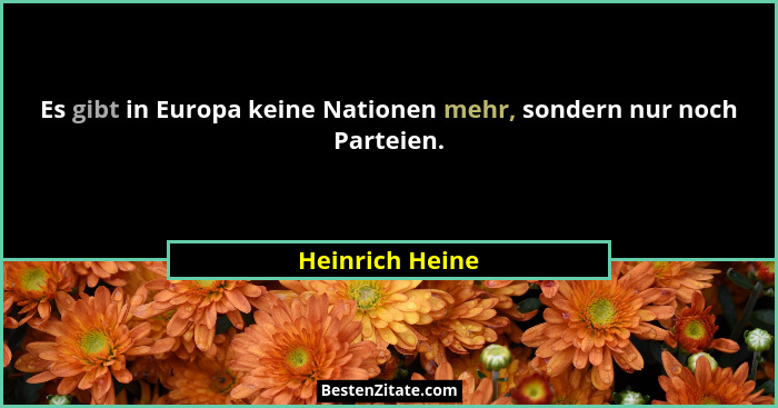 Es gibt in Europa keine Nationen mehr, sondern nur noch Parteien.... - Heinrich Heine