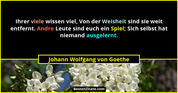 Ihrer viele wissen viel, Von der Weisheit sind sie weit entfernt. Andre Leute sind euch ein Spiel; Sich selbst hat nieman... - Johann Wolfgang von Goethe