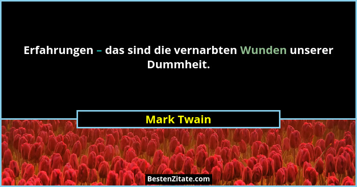 Erfahrungen – das sind die vernarbten Wunden unserer Dummheit.... - Mark Twain
