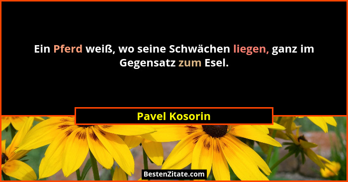 Ein Pferd weiß, wo seine Schwächen liegen, ganz im Gegensatz zum Esel.... - Pavel Kosorin