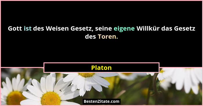 Gott ist des Weisen Gesetz, seine eigene Willkür das Gesetz des Toren.... - Platon