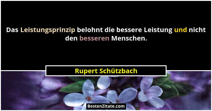 Das Leistungsprinzip belohnt die bessere Leistung und nicht den besseren Menschen.... - Rupert Schützbach