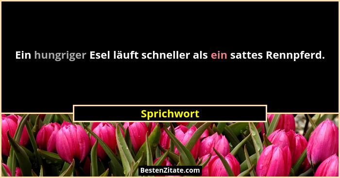Ein hungriger Esel läuft schneller als ein sattes Rennpferd.... - Sprichwort