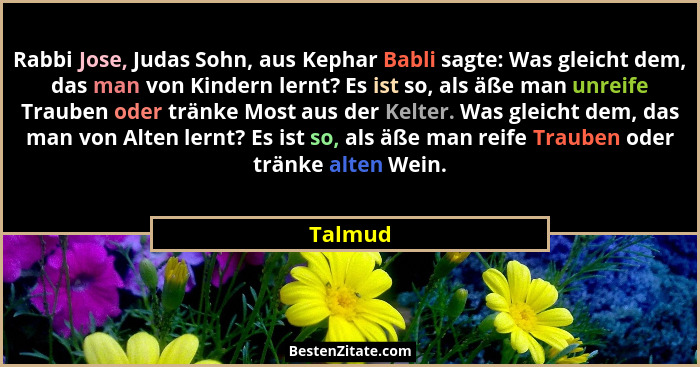 Rabbi Jose, Judas Sohn, aus Kephar Babli sagte: Was gleicht dem, das man von Kindern lernt? Es ist so, als äße man unreife Trauben oder tränk... - Talmud