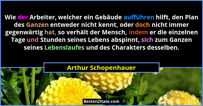 Wie der Arbeiter, welcher ein Gebäude aufführen hilft, den Plan des Ganzen entweder nicht kennt, oder doch nicht immer gegenwärt... - Arthur Schopenhauer