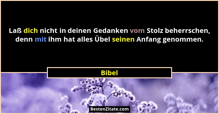 Laß dich nicht in deinen Gedanken vom Stolz beherrschen, denn mit ihm hat alles Übel seinen Anfang genommen.... - Bibel