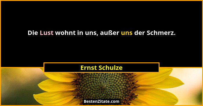 Die Lust wohnt in uns, außer uns der Schmerz.... - Ernst Schulze