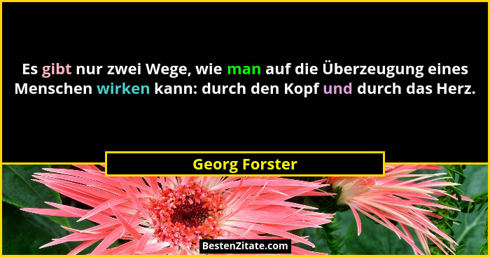 Es gibt nur zwei Wege, wie man auf die Überzeugung eines Menschen wirken kann: durch den Kopf und durch das Herz.... - Georg Forster