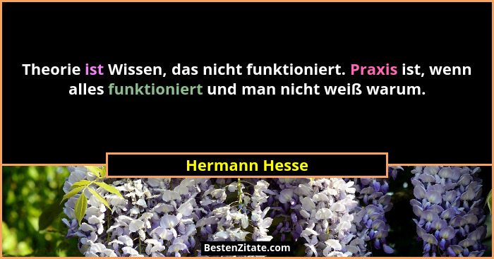 Theorie ist Wissen, das nicht funktioniert. Praxis ist, wenn alles funktioniert und man nicht weiß warum.... - Hermann Hesse