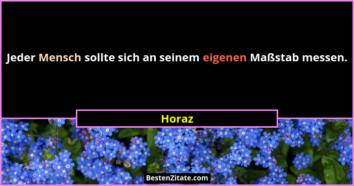 Jeder Mensch sollte sich an seinem eigenen Maßstab messen.... - Horaz