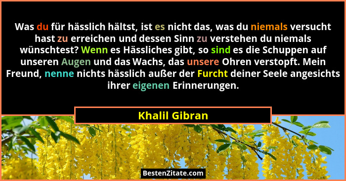 Was du für hässlich hältst, ist es nicht das, was du niemals versucht hast zu erreichen und dessen Sinn zu verstehen du niemals wünsch... - Khalil Gibran