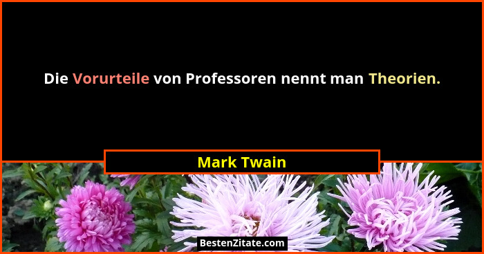Die Vorurteile von Professoren nennt man Theorien.... - Mark Twain