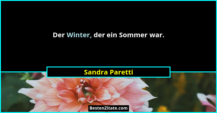 Der Winter, der ein Sommer war.... - Sandra Paretti