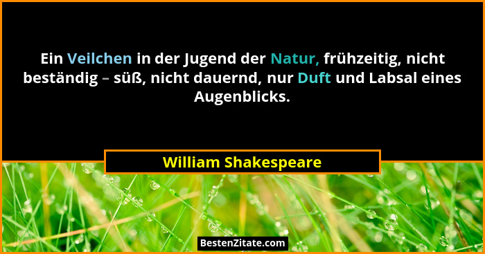 Ein Veilchen in der Jugend der Natur, frühzeitig, nicht beständig – süß, nicht dauernd, nur Duft und Labsal eines Augenblicks.... - William Shakespeare