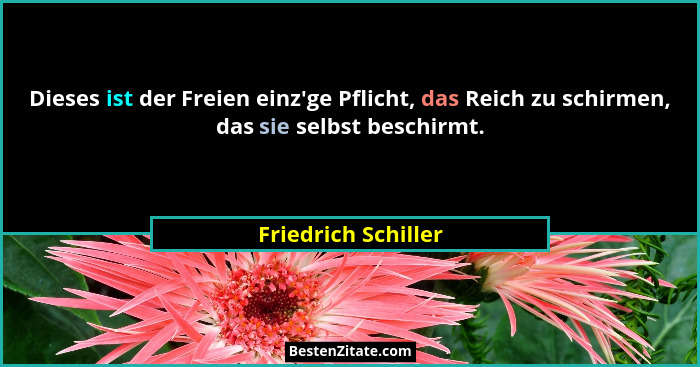 Dieses ist der Freien einz'ge Pflicht, das Reich zu schirmen, das sie selbst beschirmt.... - Friedrich Schiller