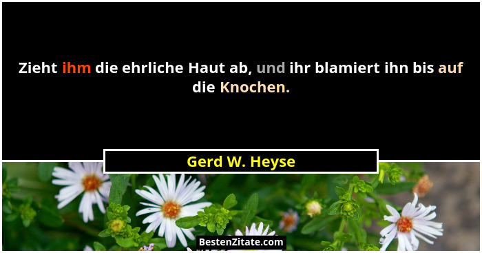 Zieht ihm die ehrliche Haut ab, und ihr blamiert ihn bis auf die Knochen.... - Gerd W. Heyse