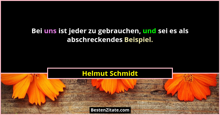 Bei uns ist jeder zu gebrauchen, und sei es als abschreckendes Beispiel.... - Helmut Schmidt