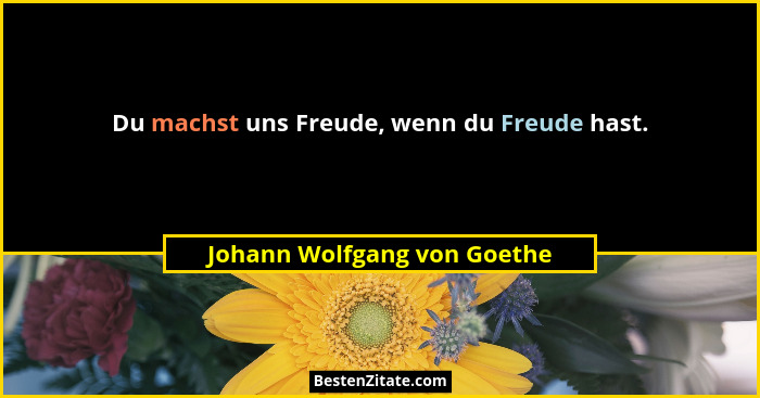 Du machst uns Freude, wenn du Freude hast.... - Johann Wolfgang von Goethe