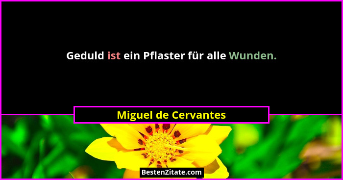 Geduld ist ein Pflaster für alle Wunden.... - Miguel de Cervantes