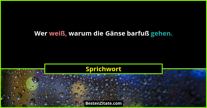 Wer weiß, warum die Gänse barfuß gehen.... - Sprichwort