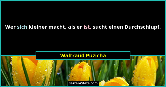 Wer sich kleiner macht, als er ist, sucht einen Durchschlupf.... - Waltraud Puzicha