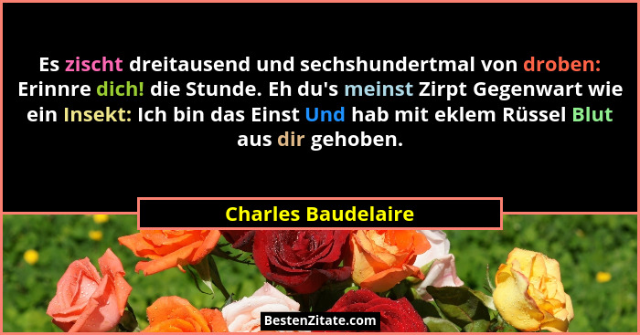 Es zischt dreitausend und sechshundertmal von droben: Erinnre dich! die Stunde. Eh du's meinst Zirpt Gegenwart wie ein Insekt... - Charles Baudelaire