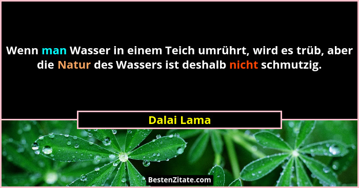 Wenn man Wasser in einem Teich umrührt, wird es trüb, aber die Natur des Wassers ist deshalb nicht schmutzig.... - Dalai Lama