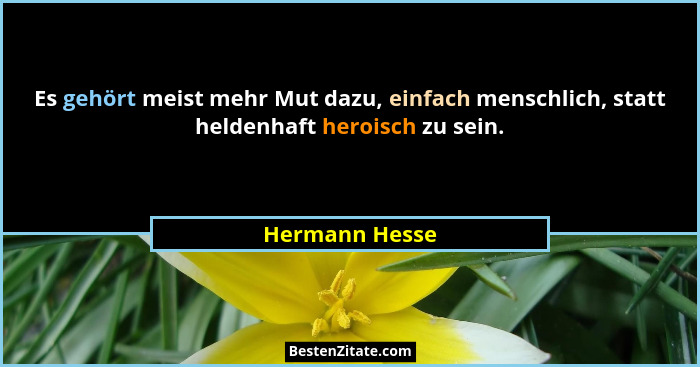 Es gehört meist mehr Mut dazu, einfach menschlich, statt heldenhaft heroisch zu sein.... - Hermann Hesse