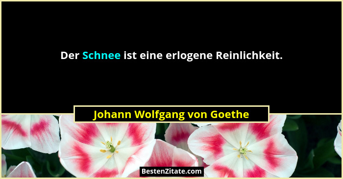 Der Schnee ist eine erlogene Reinlichkeit.... - Johann Wolfgang von Goethe