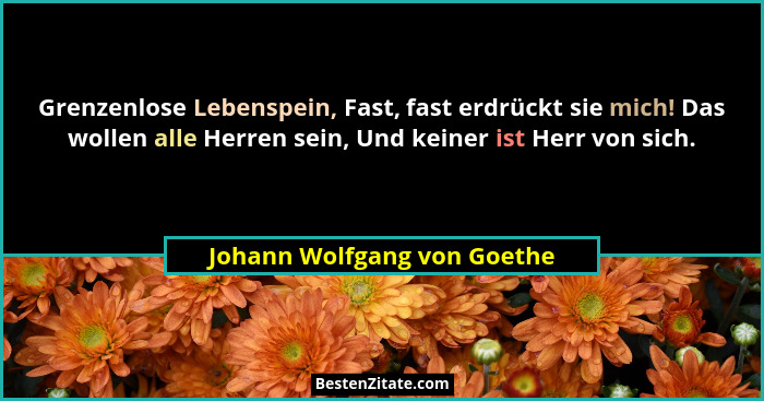 Grenzenlose Lebenspein, Fast, fast erdrückt sie mich! Das wollen alle Herren sein, Und keiner ist Herr von sich.... - Johann Wolfgang von Goethe