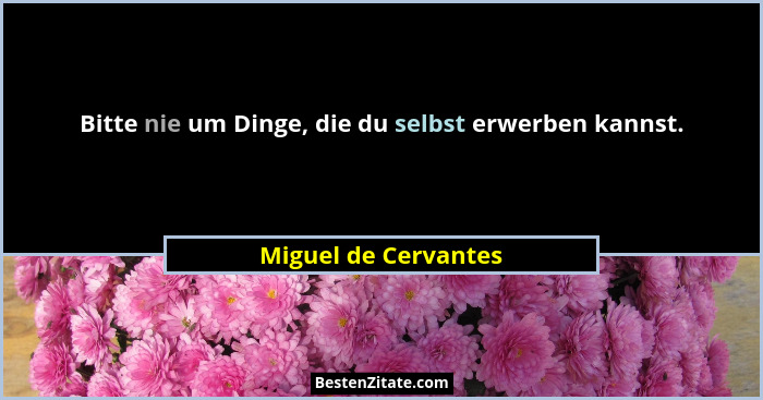 Bitte nie um Dinge, die du selbst erwerben kannst.... - Miguel de Cervantes