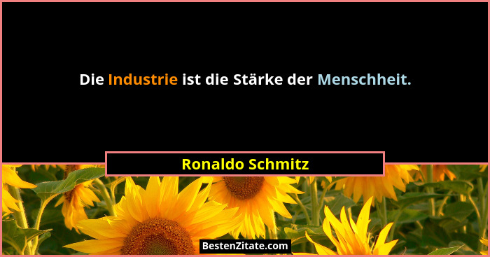 Die Industrie ist die Stärke der Menschheit.... - Ronaldo Schmitz