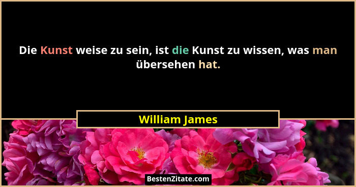 Die Kunst weise zu sein, ist die Kunst zu wissen, was man übersehen hat.... - William James