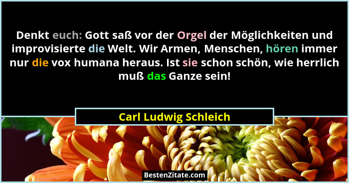 Denkt euch: Gott saß vor der Orgel der Möglichkeiten und improvisierte die Welt. Wir Armen, Menschen, hören immer nur die vox h... - Carl Ludwig Schleich