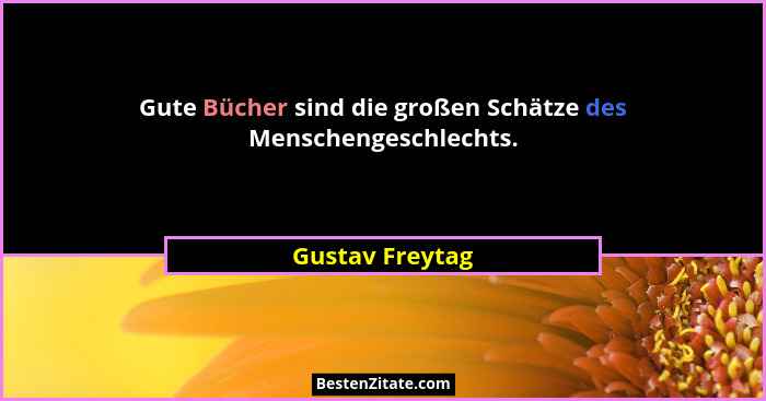 Gute Bücher sind die großen Schätze des Menschengeschlechts.... - Gustav Freytag