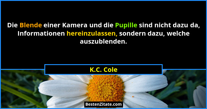Die Blende einer Kamera und die Pupille sind nicht dazu da, Informationen hereinzulassen, sondern dazu, welche auszublenden.... - K.C. Cole