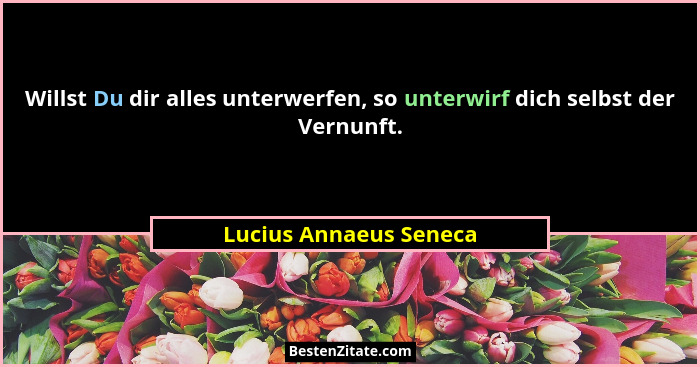 Willst Du dir alles unterwerfen, so unterwirf dich selbst der Vernunft.... - Lucius Annaeus Seneca