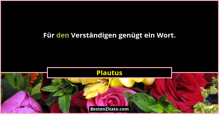 Für den Verständigen genügt ein Wort.... - Plautus
