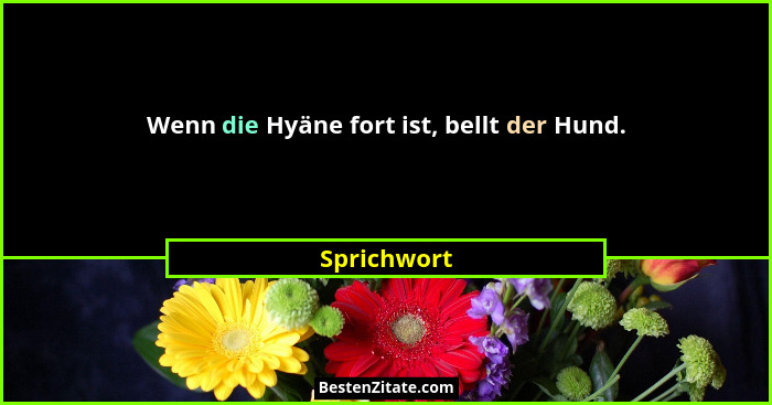 Wenn die Hyäne fort ist, bellt der Hund.... - Sprichwort
