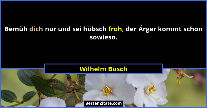 Bemüh dich nur und sei hübsch froh, der Ärger kommt schon sowieso.... - Wilhelm Busch