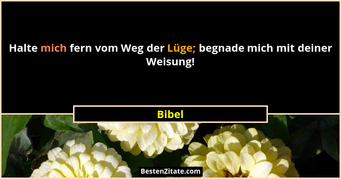 Halte mich fern vom Weg der Lüge; begnade mich mit deiner Weisung!... - Bibel