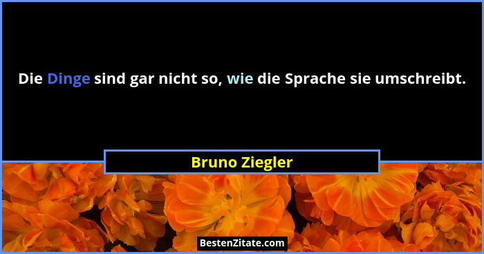 Die Dinge sind gar nicht so, wie die Sprache sie umschreibt.... - Bruno Ziegler