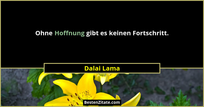 Ohne Hoffnung gibt es keinen Fortschritt.... - Dalai Lama