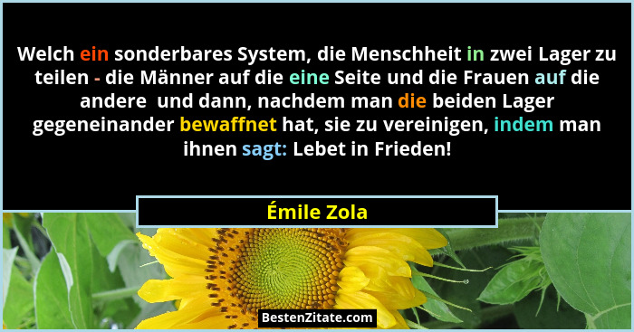 Welch ein sonderbares System, die Menschheit in zwei Lager zu teilen - die Männer auf die eine Seite und die Frauen auf die andere  und d... - Émile Zola