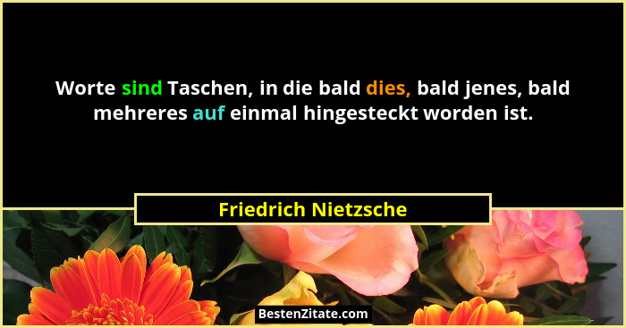 Worte sind Taschen, in die bald dies, bald jenes, bald mehreres auf einmal hingesteckt worden ist.... - Friedrich Nietzsche