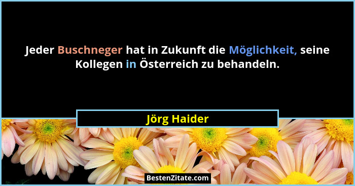 Jeder Buschneger hat in Zukunft die Möglichkeit, seine Kollegen in Österreich zu behandeln.... - Jörg Haider