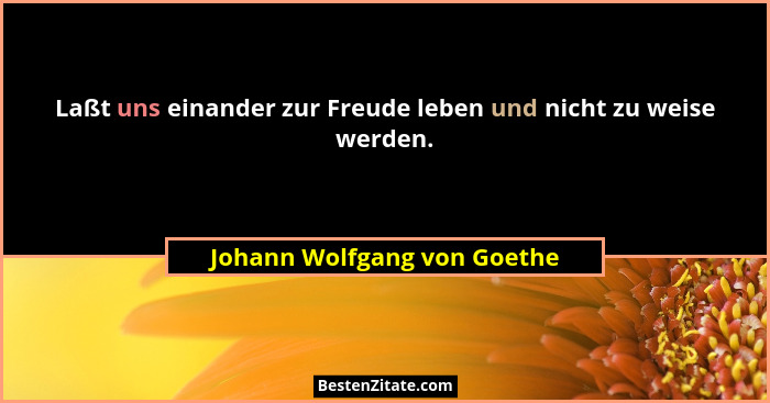 Laßt uns einander zur Freude leben und nicht zu weise werden.... - Johann Wolfgang von Goethe