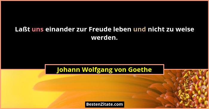 Laßt uns einander zur Freude leben und nicht zu weise werden.... - Johann Wolfgang von Goethe